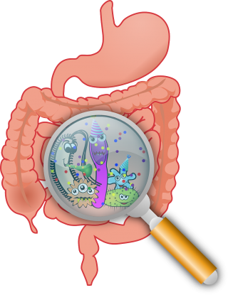 intestino e batteri